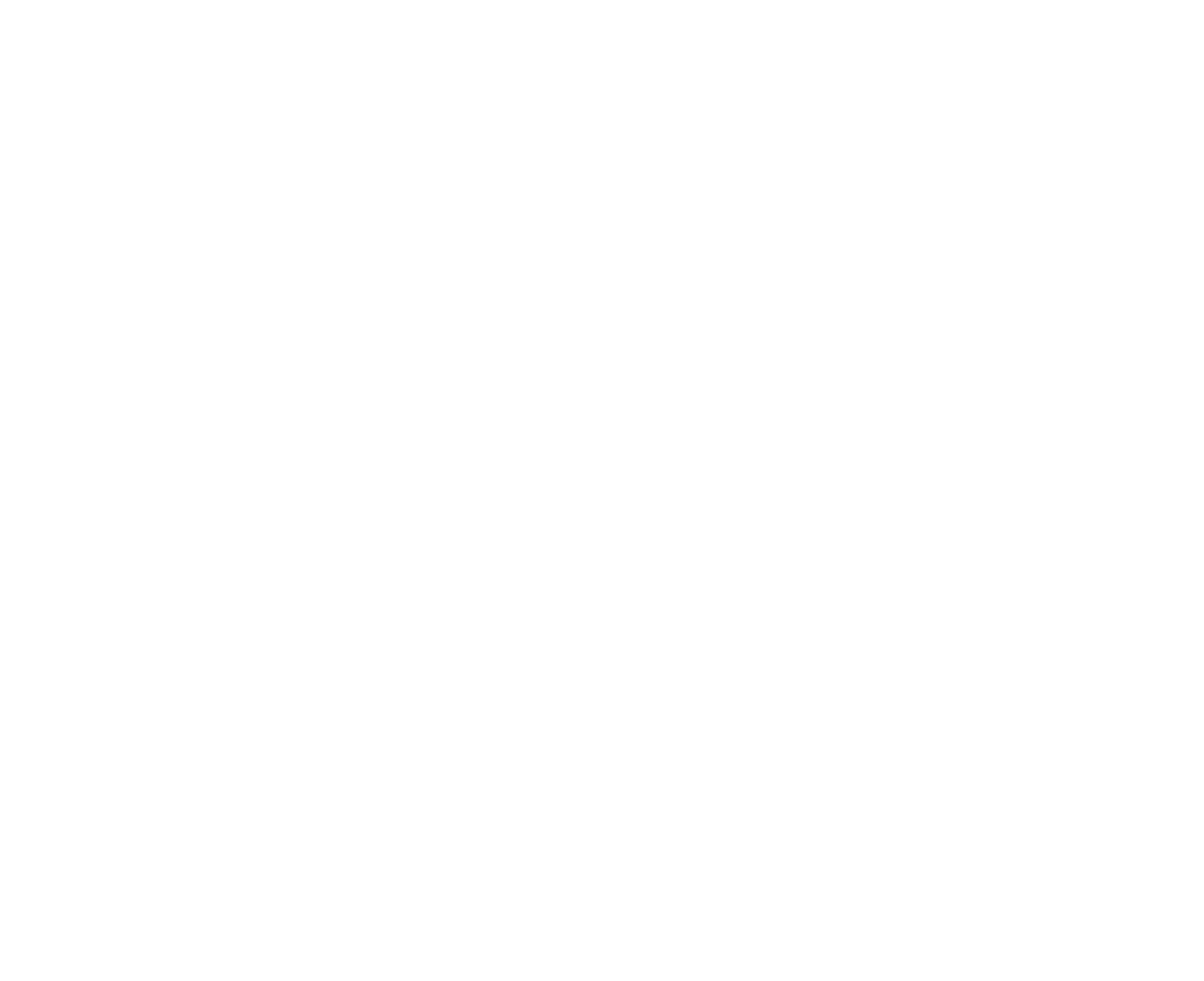 Portfolio Preview